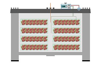 Obstlagerbehälter mit Arduino-basierter Steuerung 