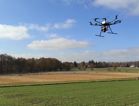 Drone with camera over a wheat field at ATB's Fieldlab for Digital Agriculture in Marquardt (Photo: Schirrmann/ATB) 