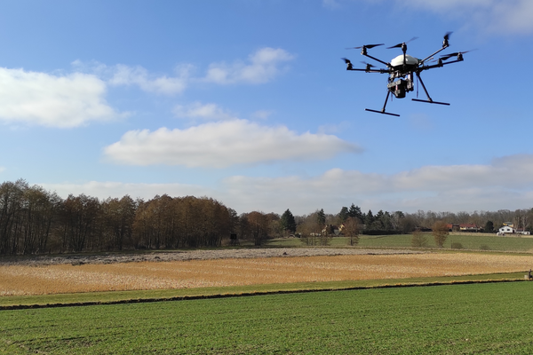 Drone with camera over a wheat field at ATB's Fieldlab for Digital Agriculture in Marquardt (Photo: Schirrmann/ATB) 