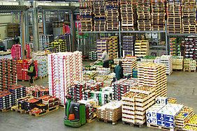 Obst- und Gemüsegroßmarkt (Foto: Burdack/ATB)