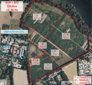 SRC experimental site next to the institute also provides wood chips for heating (Photo: ATB)