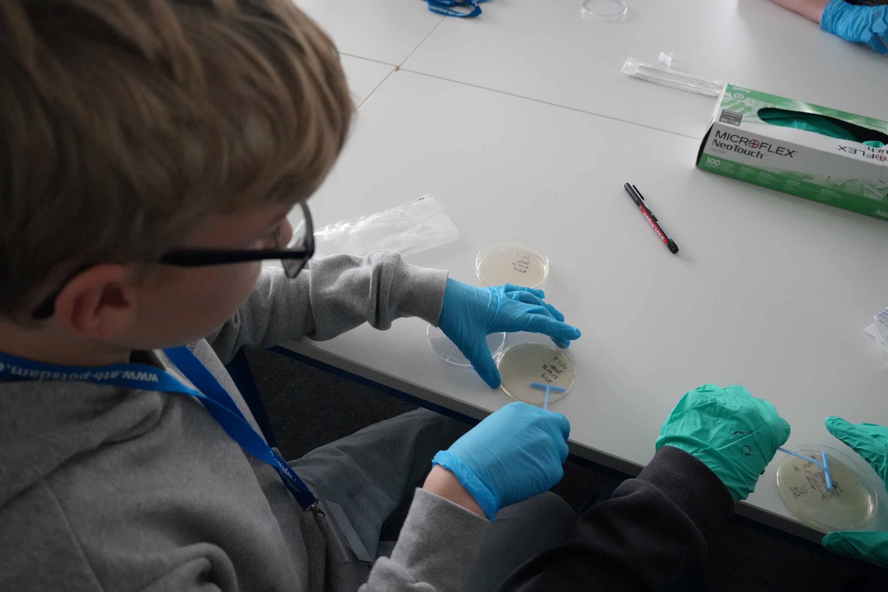 Milch auf Platten ausstreiche