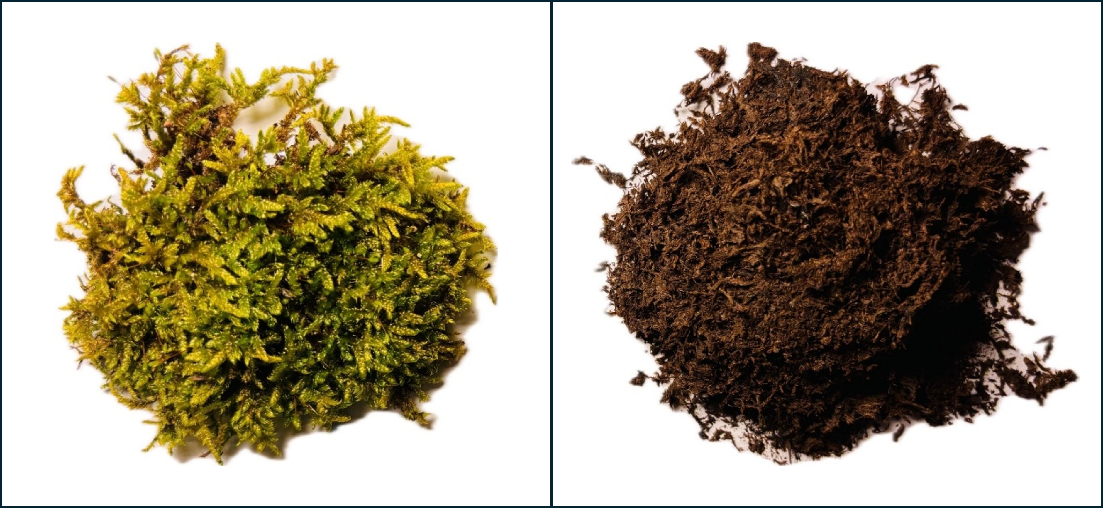 Comparison: untreated biomass versus biomass processed into artificial peat